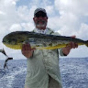 Meet your Posher, Tony